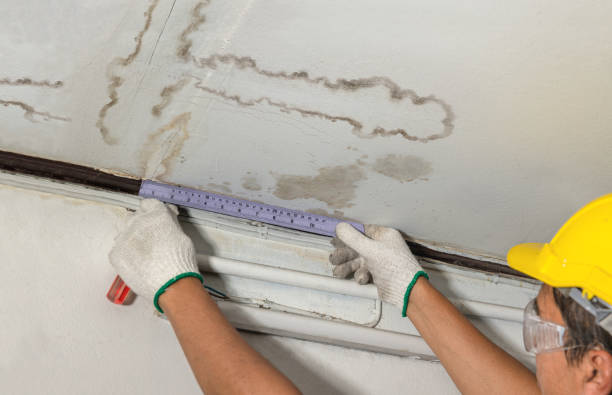 Reliable Sewage Cleanup contractor in Rosebush, MI by Water Damage Irwin